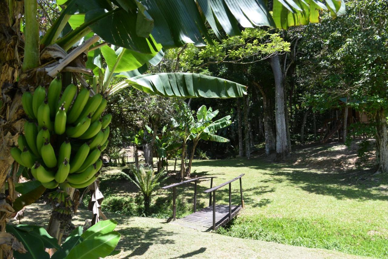 Pousada Sitio Olho D'Agua Hotell Bombinhas Exteriör bild